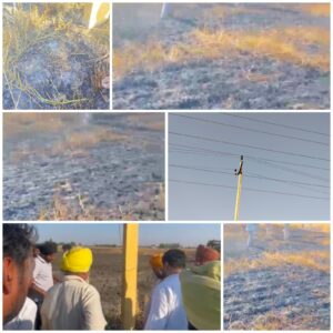 ਖੇਤਾਂ ਵਿੱਚ ਅੱਗ ਨਾਲ ਕਣਕ ਅਤੇ ਨਾੜ ਦਾ ਭਾਰੀ ਨੁਕਸਾਨ